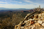 photo thumbnail #3