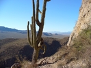 photo thumbnail #3