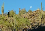 photo thumbnail #5