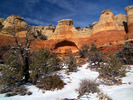 photo thumbnail #2