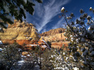 photo thumbnail #5