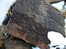 photo thumbnail #15