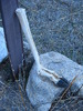 photo thumbnail #6