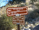 photo thumbnail #12