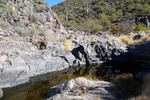 photo thumbnail #7