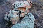 photo of comment