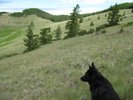 photo thumbnail #5