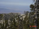photo thumbnail #11
