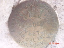 photo thumbnail #13