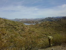 photo thumbnail #6