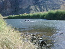 photo thumbnail #12