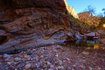 photo thumbnail #3