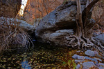 photo thumbnail #4
