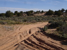photo thumbnail #13