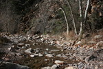 photo thumbnail #4