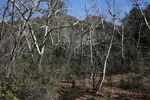 photo thumbnail #13