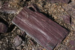 Featured Detail Photo