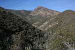 photo thumbnail #15