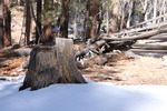 photo thumbnail #6