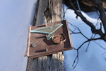 photo thumbnail #8