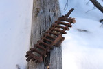 photo thumbnail #9