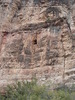 photo thumbnail #7
