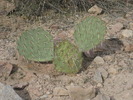 photo thumbnail #8