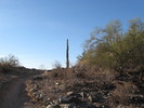 photo thumbnail #1