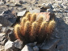 photo thumbnail #4