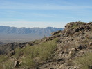 photo thumbnail #8