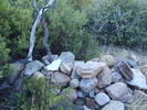 photo thumbnail #1