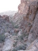 photo thumbnail #13