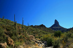 photo thumbnail #7