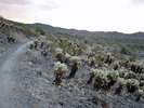 photo thumbnail #3