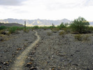 photo thumbnail #4