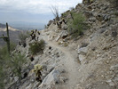 photo thumbnail #9