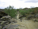 photo thumbnail #11