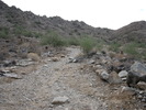 photo thumbnail #1