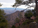 photo thumbnail #6