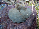 photo thumbnail #8