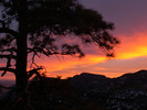 photo thumbnail #13