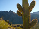 photo thumbnail #4