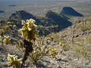 photo thumbnail #6
