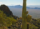 photo thumbnail #11