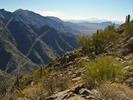 photo thumbnail #14