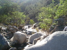 photo thumbnail #8