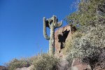 photo thumbnail #1