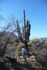 photo thumbnail #5