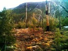 photo thumbnail #7