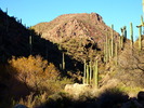 photo thumbnail #5